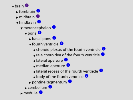 An image of a treeview containing a hierarchy of brain regions